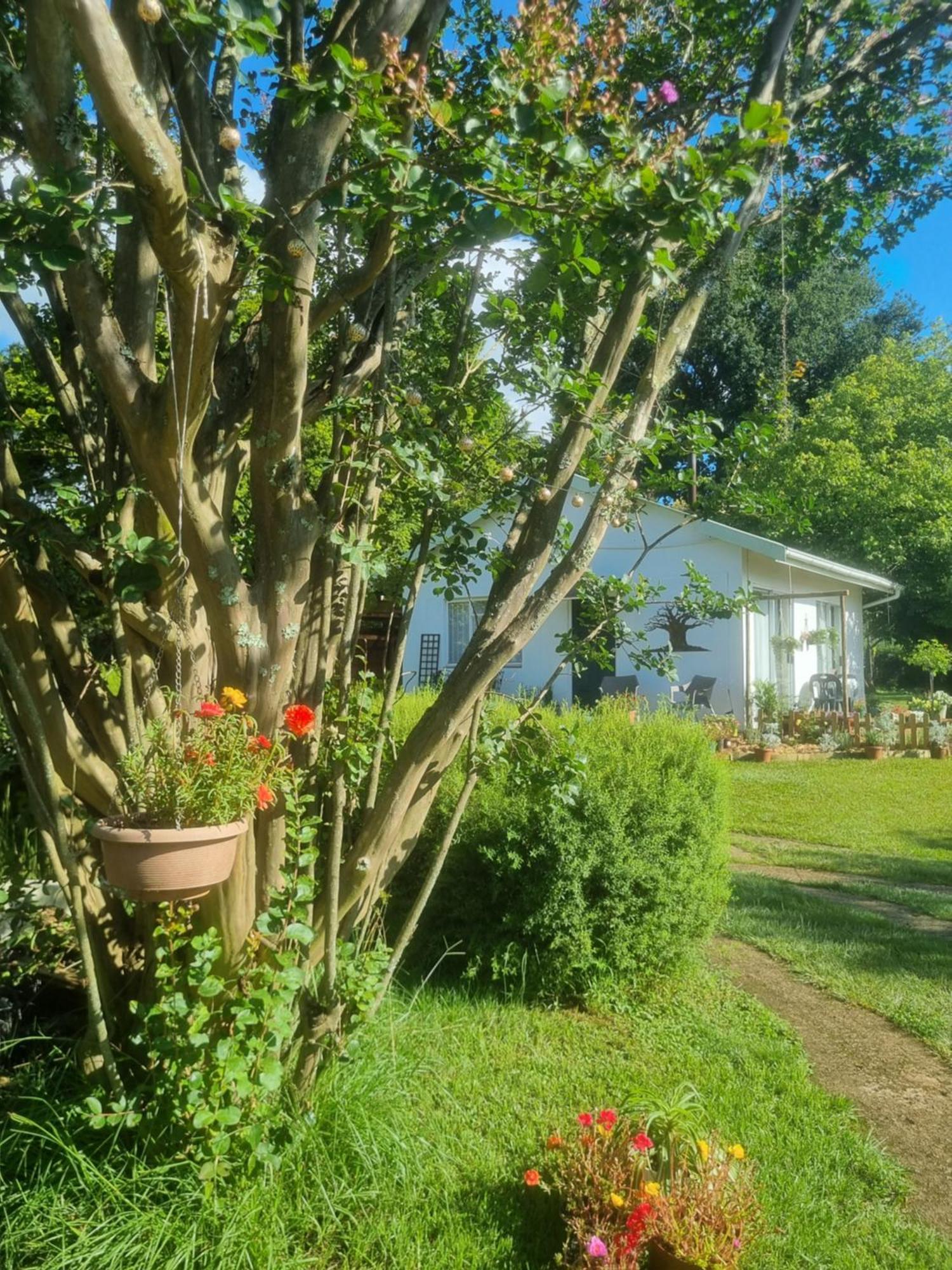 The Cottage On The Corner ヒメヴィル エクステリア 写真