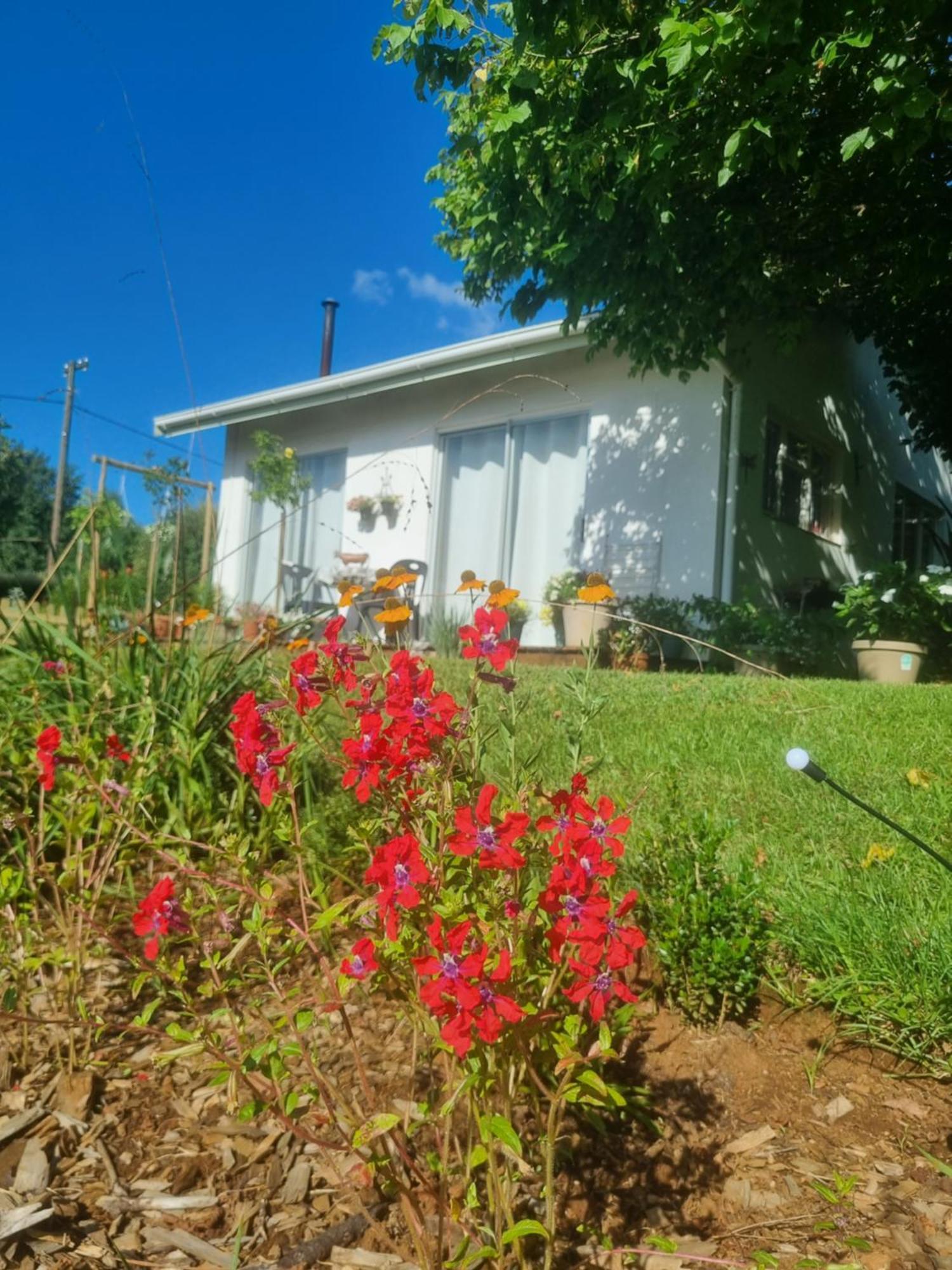 The Cottage On The Corner ヒメヴィル エクステリア 写真